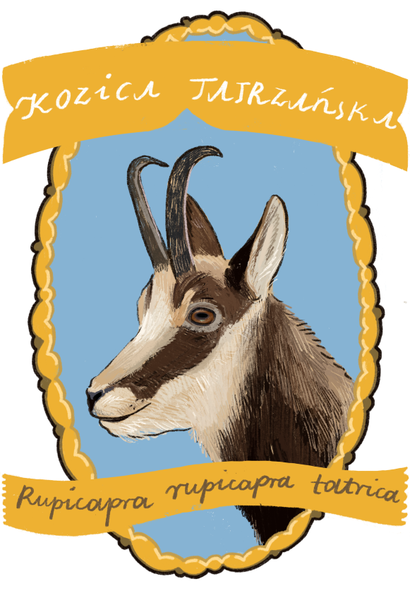 Zdjęcie przyrodnicze 4